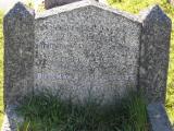 image of grave number 303051